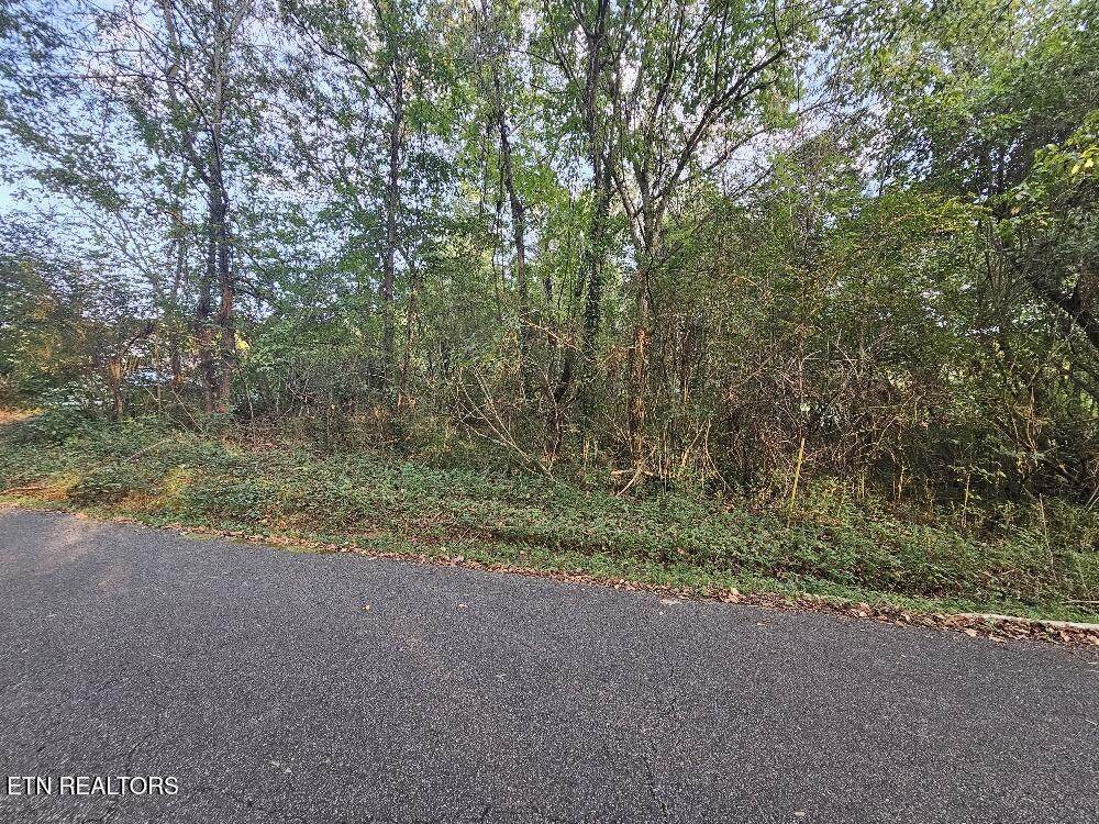 Lot# 96 River Rd - Photo 1