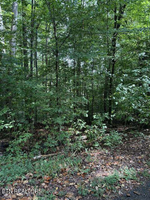  Rock Hill Rd - Photo 1