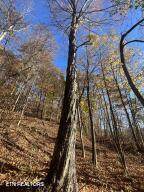  Hatfield Creek Rd - Photo 10