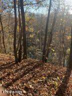  Hatfield Creek Rd - Photo 11
