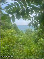  Hatfield Creek Rd - Photo 2