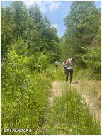  Hatfield Creek Rd - Photo 4