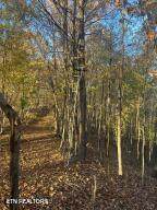  Hatfield Creek Rd - Photo 6
