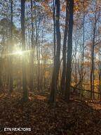  Hatfield Creek Rd - Photo 8