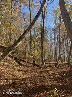  Hatfield Creek Rd - Photo 9
