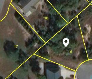 1105 Spruce Hollow Lane - Photo 1