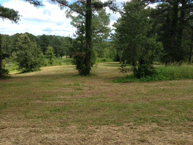 Grand Creek Point - Photo 1