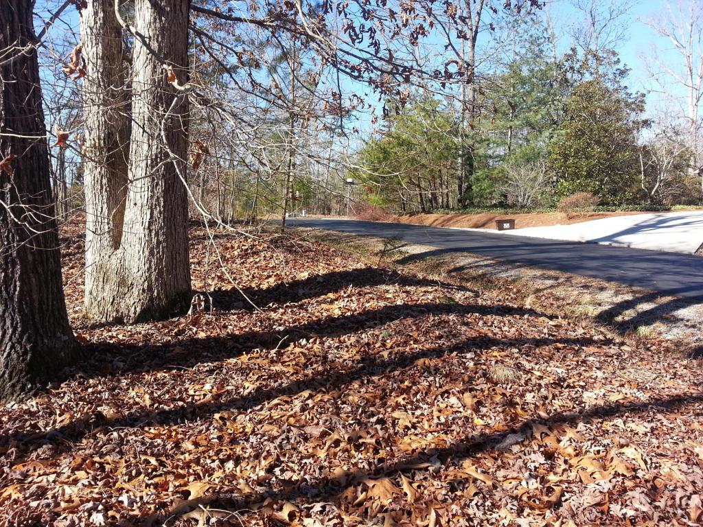 Osage Lane - Photo 1