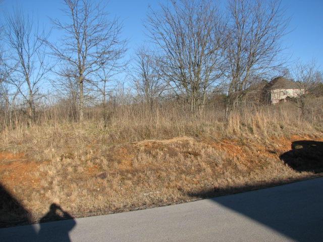 Lot 30 Block 8 Walelu Tr - Photo 1