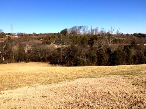 Lot 6 -Constitution Drive - Photo 1
