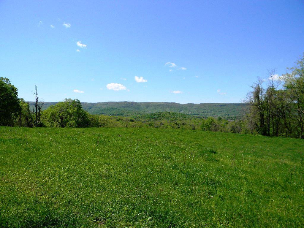 Lowes Gap Rd - Photo 1
