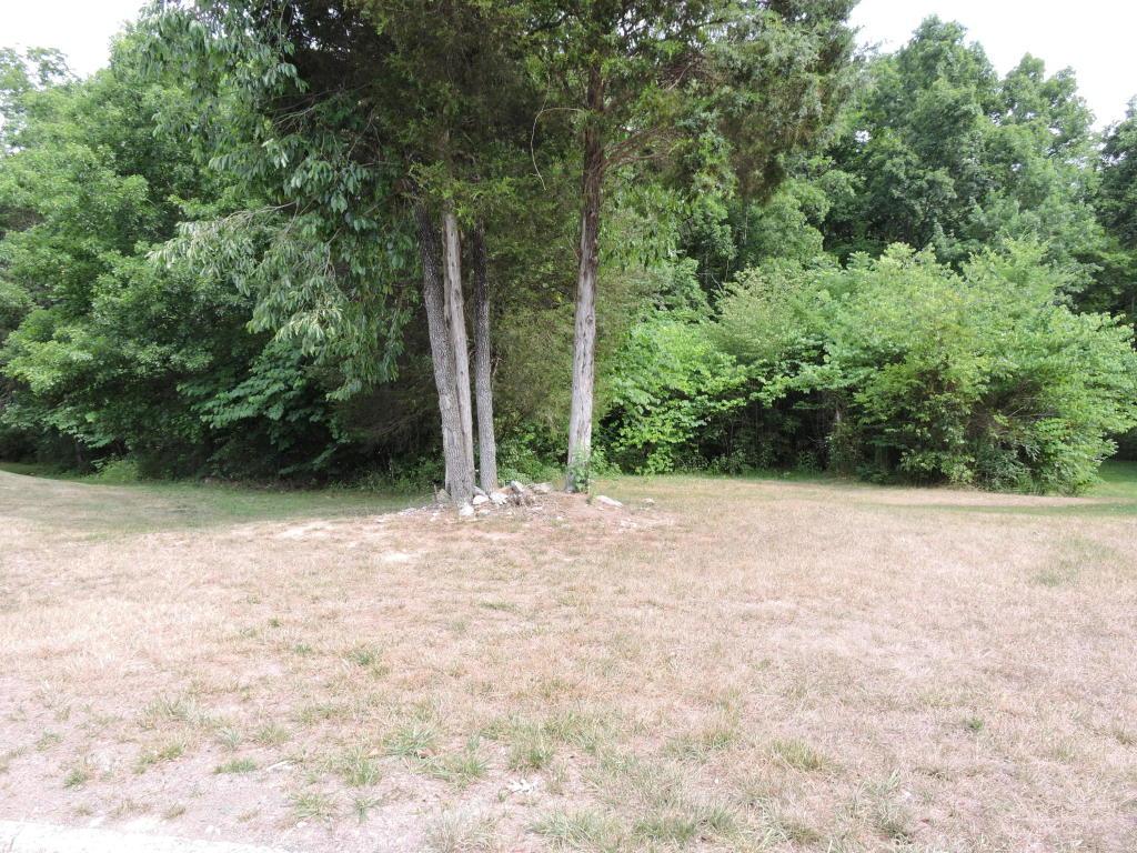 7366 Beech Meadow Lane - Photo 1
