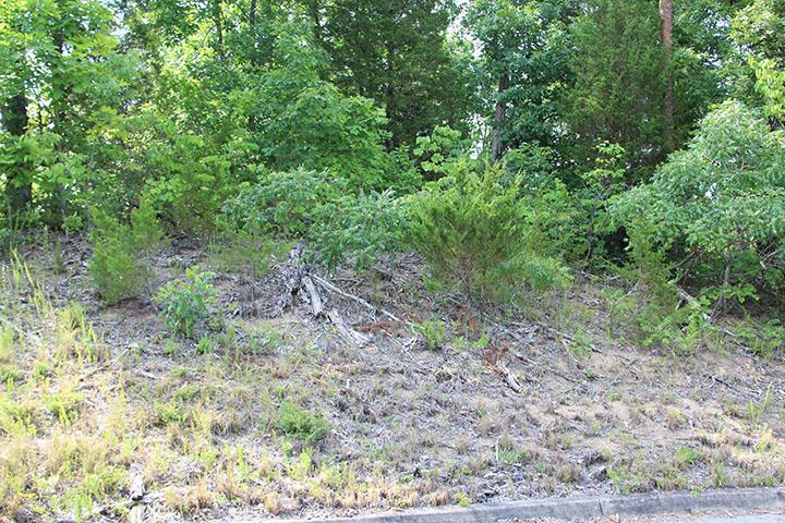 Lot 1 Harbor Point Dr - Photo 1