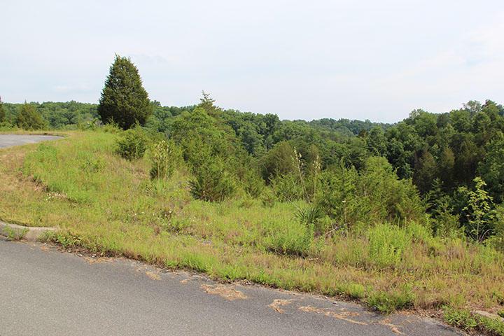 Lot 12 Harbor Point Dr - Photo 1