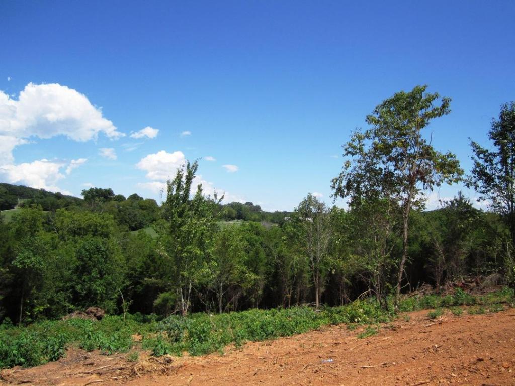 Lot 23- Mountain Vista Trail Rd - Photo 1