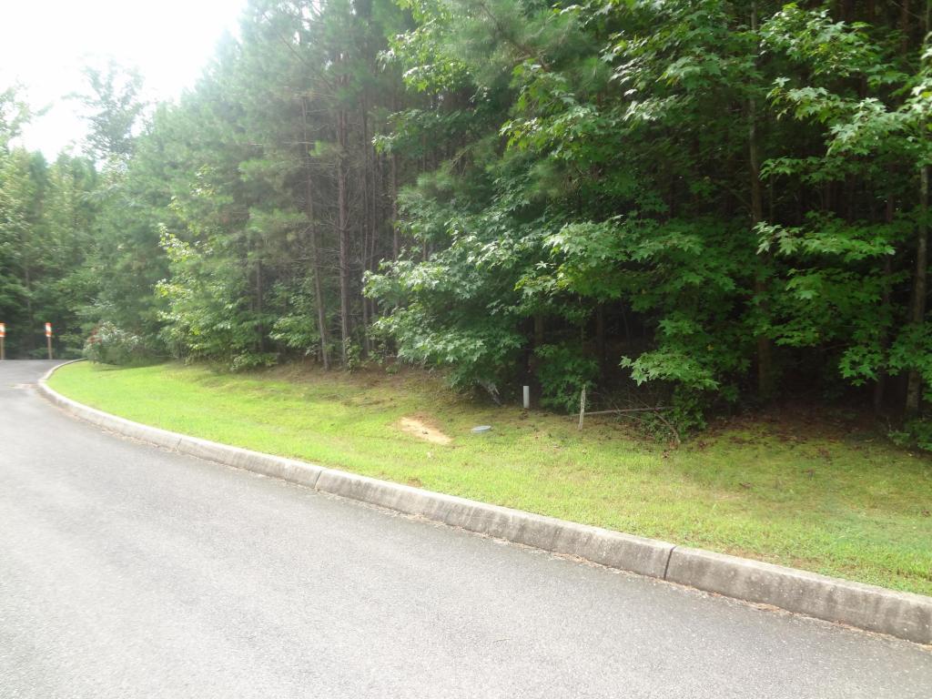 Indigo Bunting Drive - Photo 1