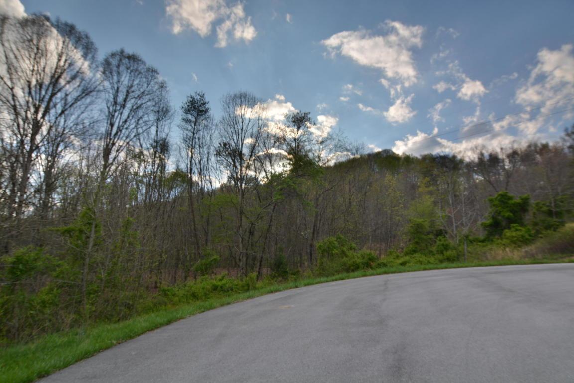 L-5 Wolf Peak Lane - Photo 1