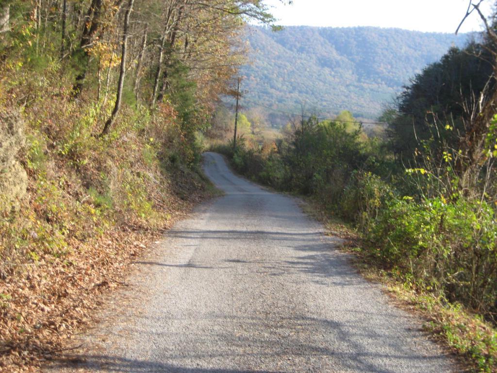 State Route 310 - Photo 1
