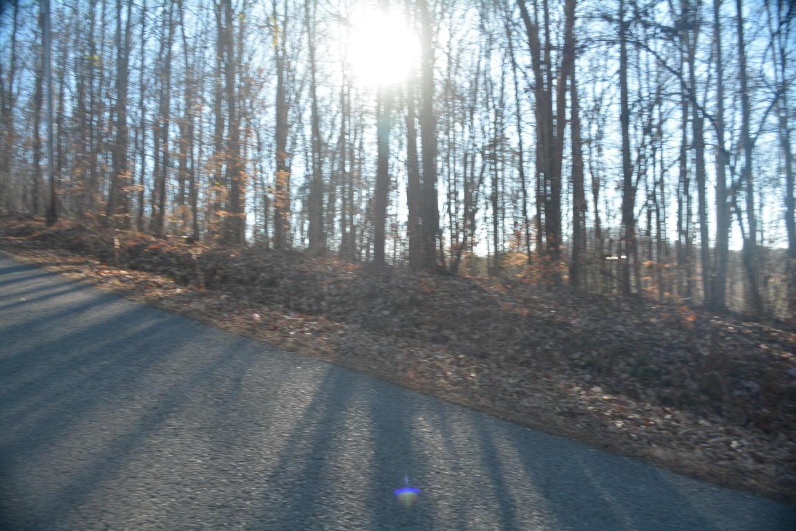 Pine Hollow Rd - Photo 1