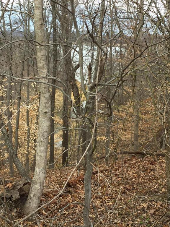 022 Woods Ridge Rd Rd - Photo 1