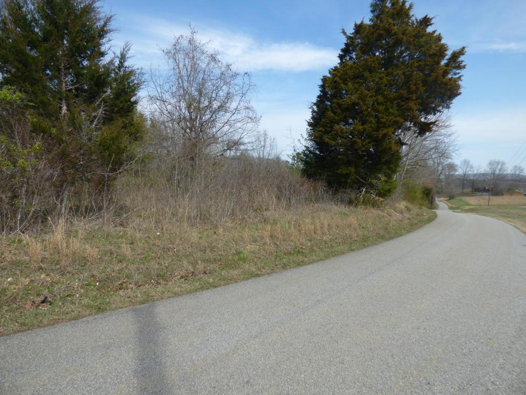 331 Black Oak Rd - Photo 1