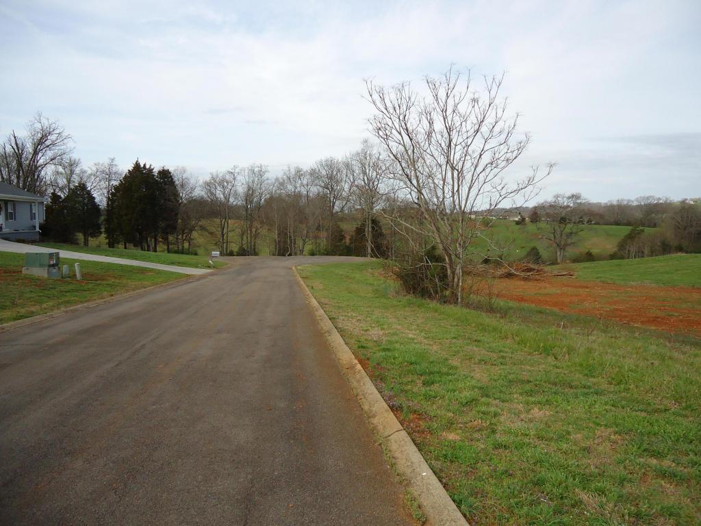 Seven Oaks Drive - Photo 1