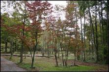 Scenic River Rd - Photo 1
