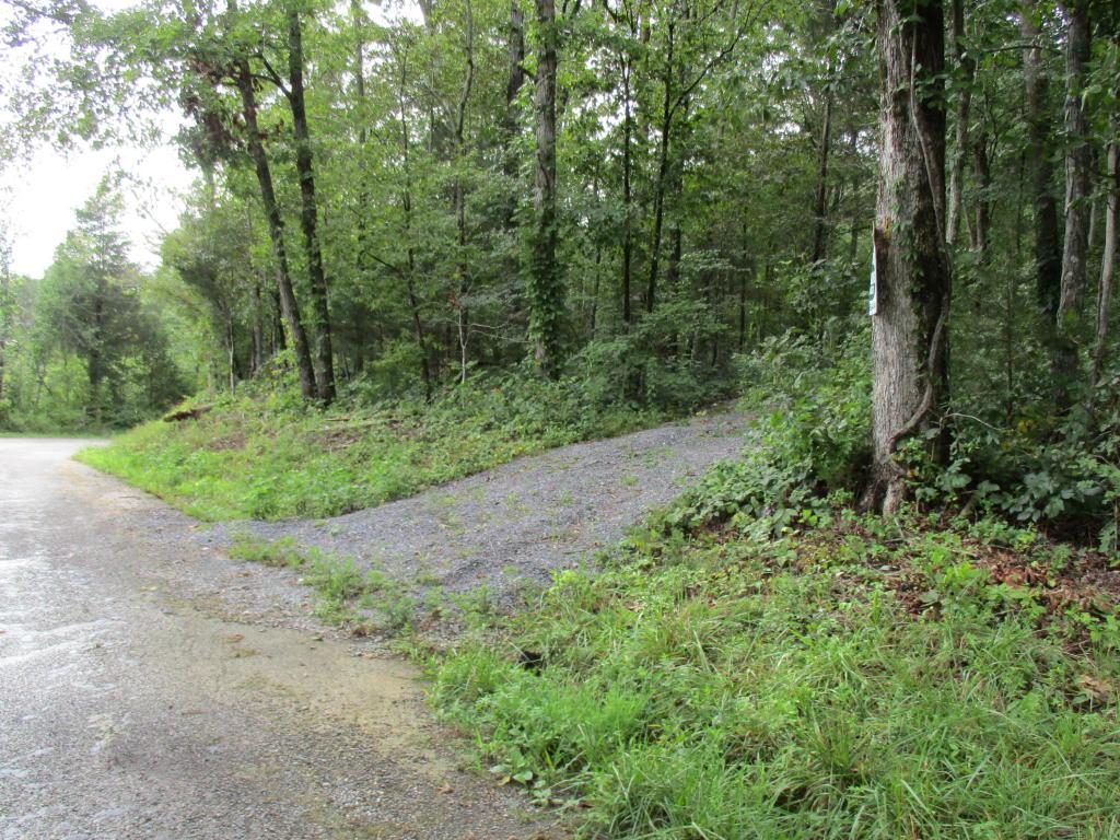 Saffles Lane - Photo 1