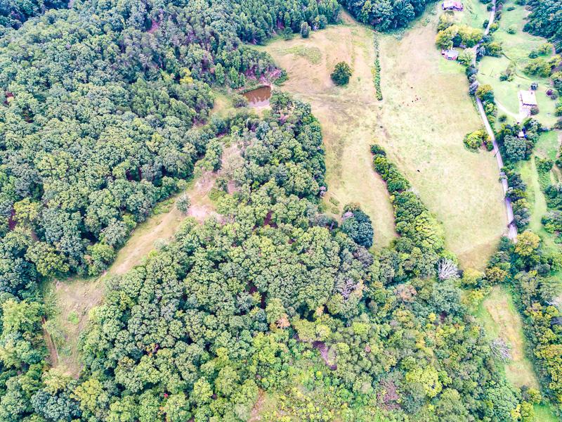 712 Dry Hollow Rd - Photo 1
