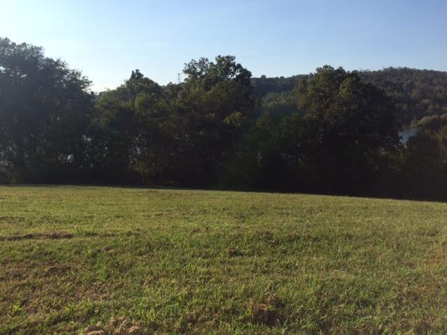 301 River Bank Trail - Photo 1
