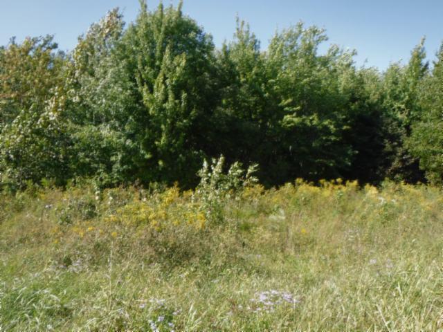 Lot 1 Airport Road - Photo 1