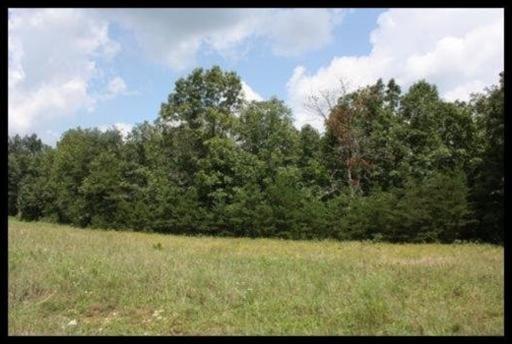 Perry Creek Drive - Photo 1