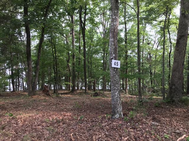 East Shore Lot 45 - Photo 1