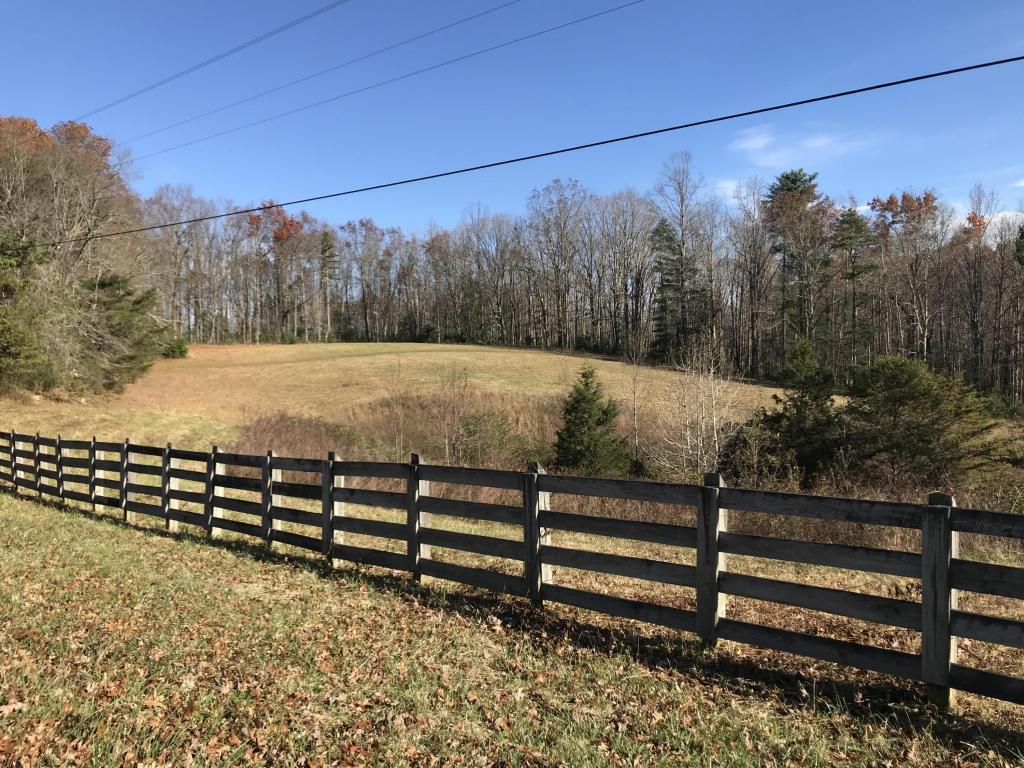 Leatherwood Ford Rd - Photo 1