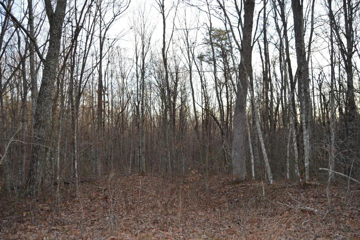 Cumberland Cove Rd - Photo 1