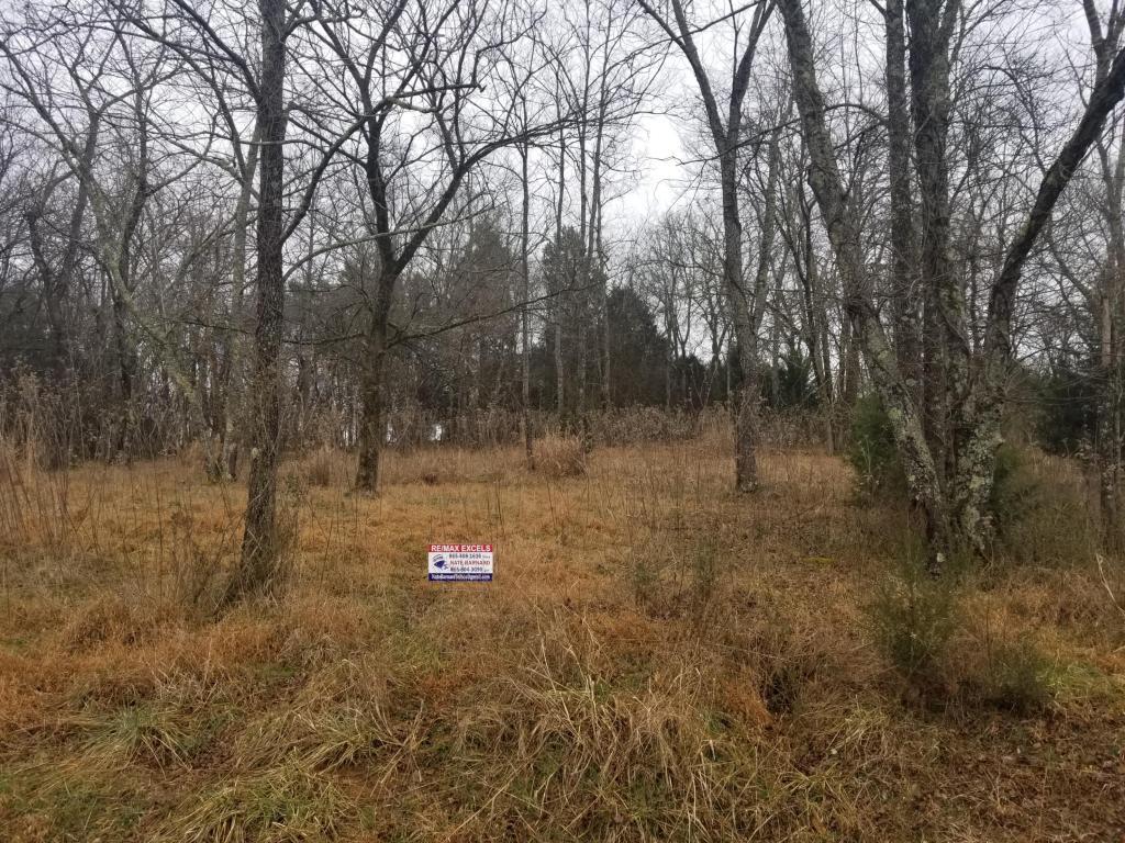 129 Dudi Tr - Photo 1