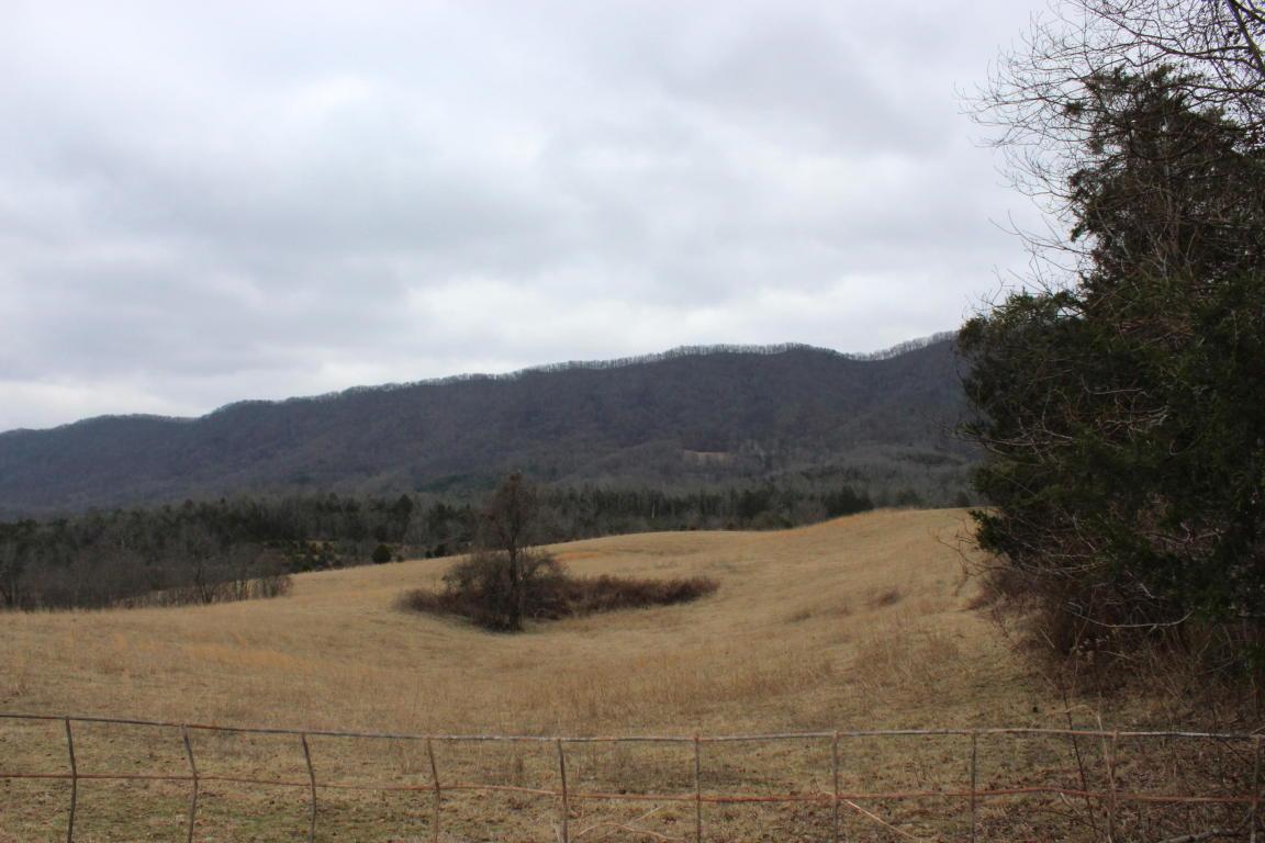 Davidson/Dalton Ridge Rd - Photo 1