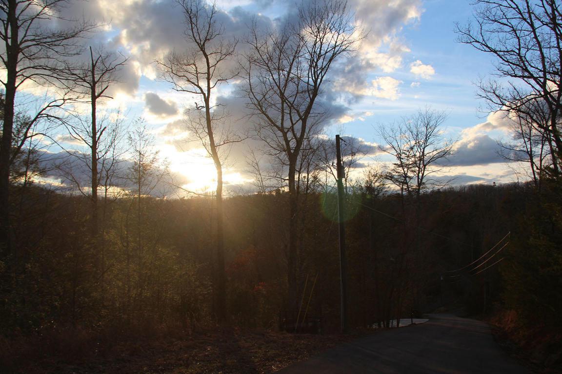 Lot 7-R Woodcock Trail - Photo 1