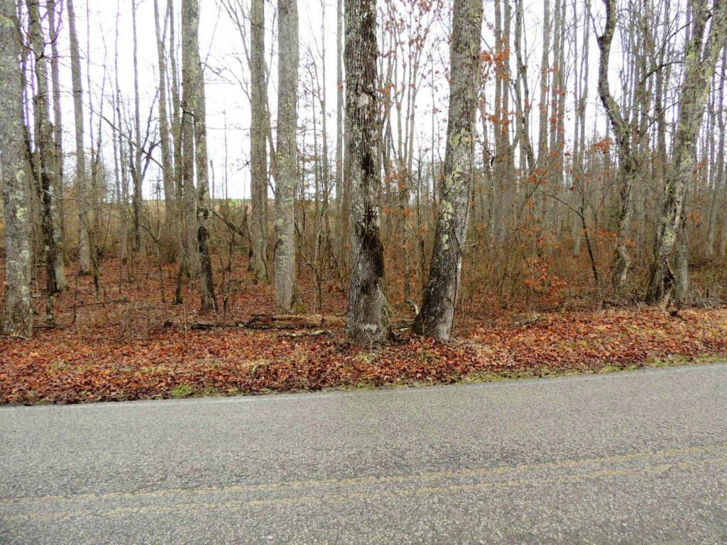 0 Glade Creek Rd - Photo 1