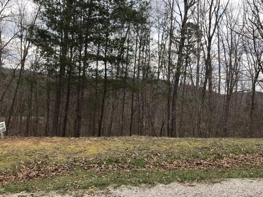 Lot 30 Foxfire Trace - Photo 1