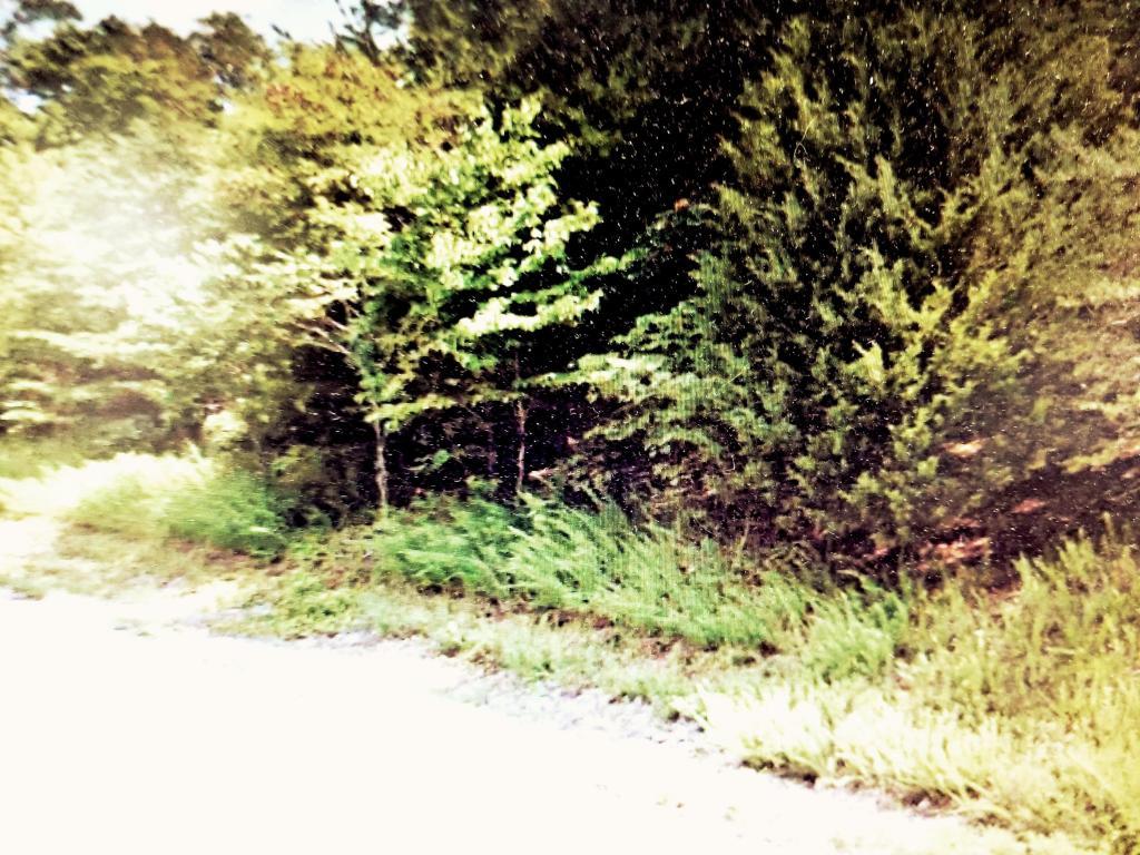 Lot 187 Chimney Rock Rd - Photo 1