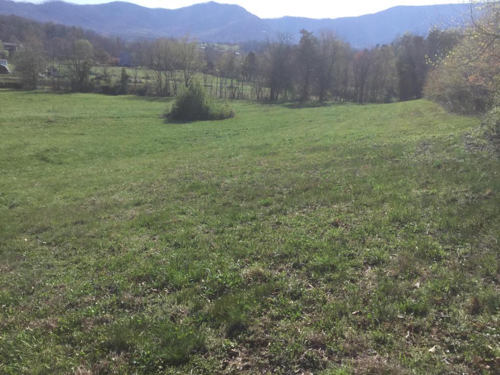 Hatcher Mountain Way Off 2C - Photo 1
