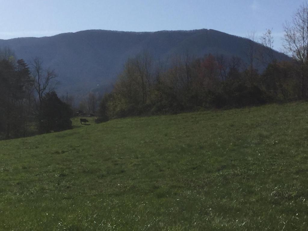 Hatcher Mountain Way Off - Photo 1