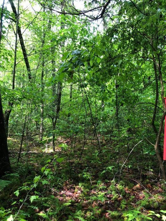 Lot #4 Black Mountain Road - Photo 1