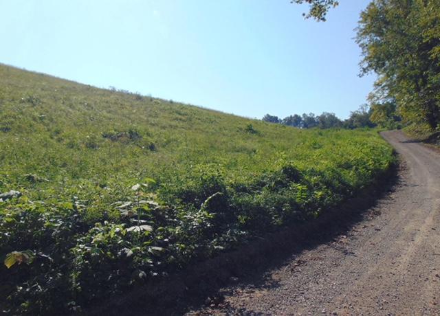 996 Vancel Rd - Photo 1