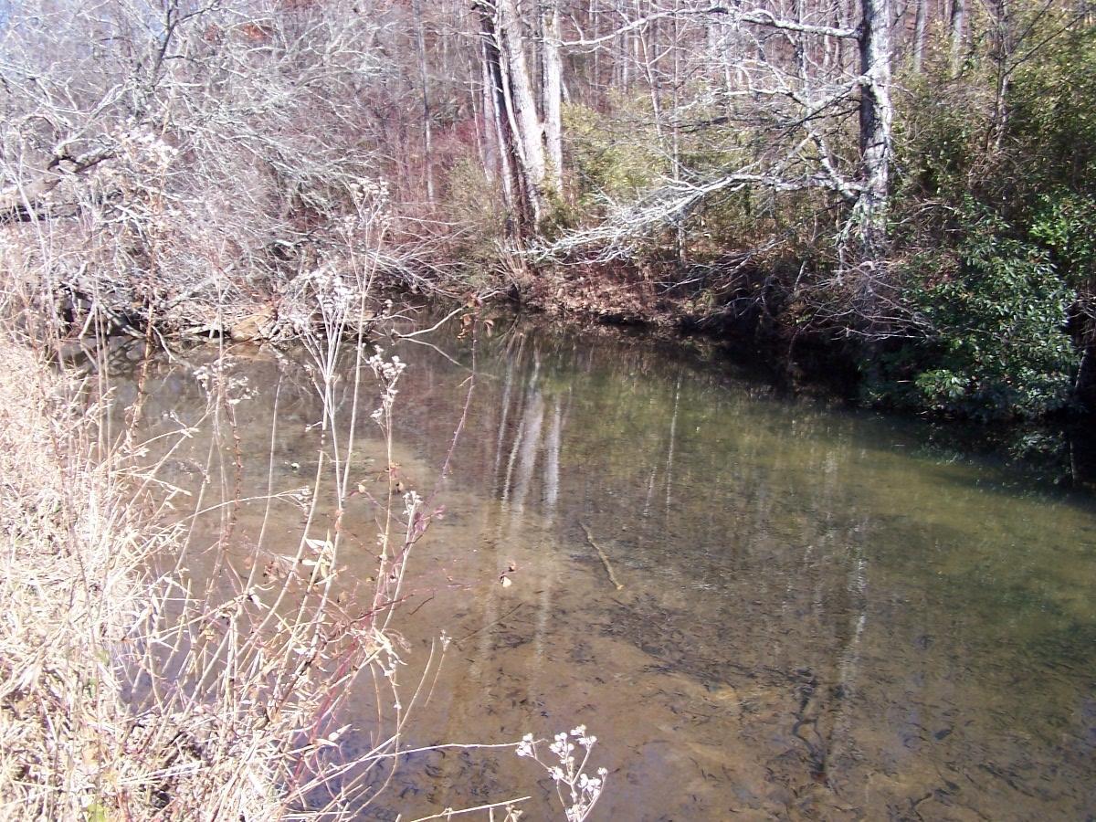 Tanner Trail - Photo 1