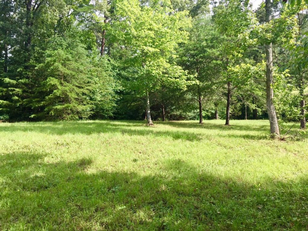 Pine Loop Rd - Photo 1