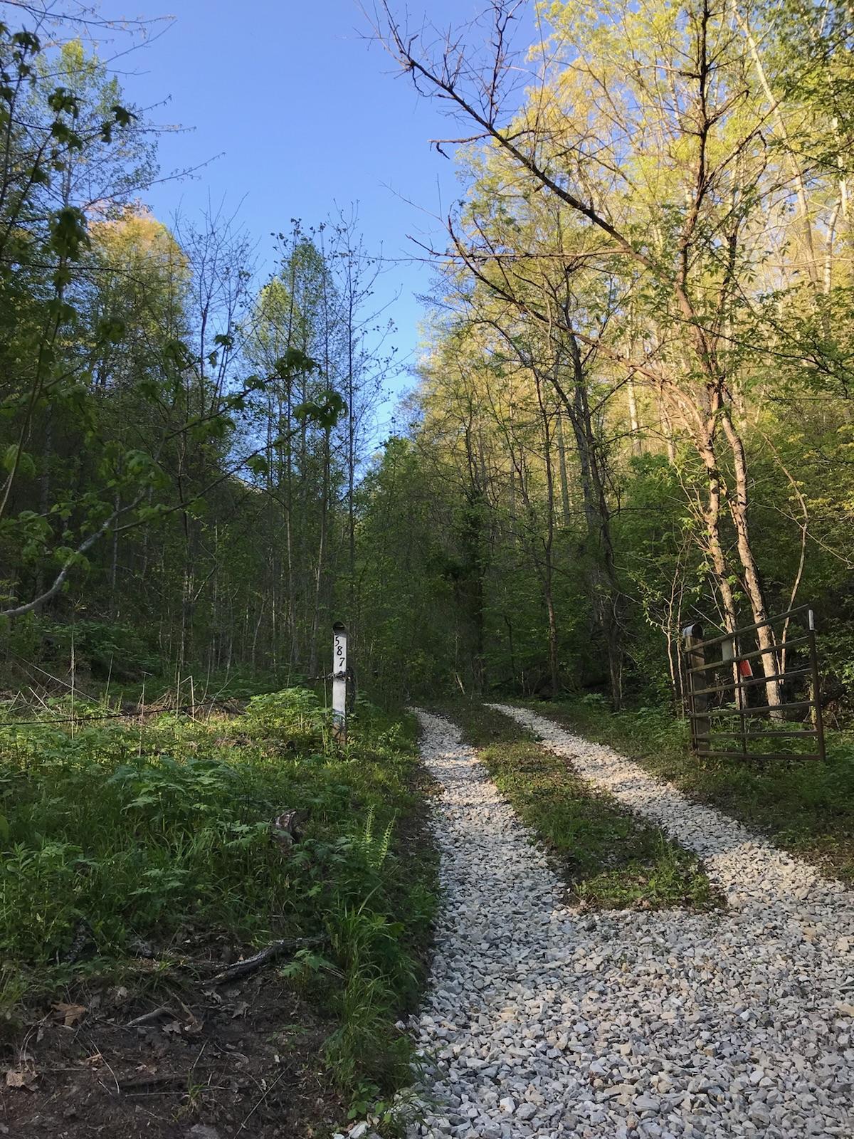 587 Texas Hollow Rd - Photo 1