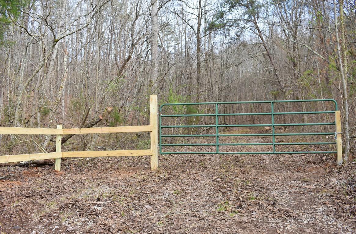 23.4 Acres Toestring Valley Rd - Photo 1