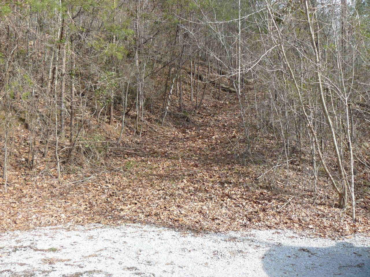 Lot 731 Clear Water Rd - Photo 1